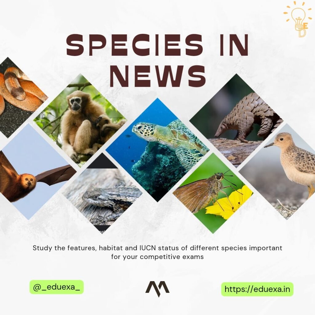 Species in News