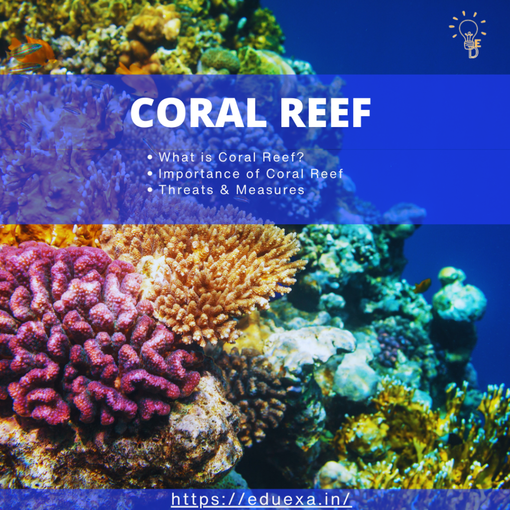 Coral Reef upsc