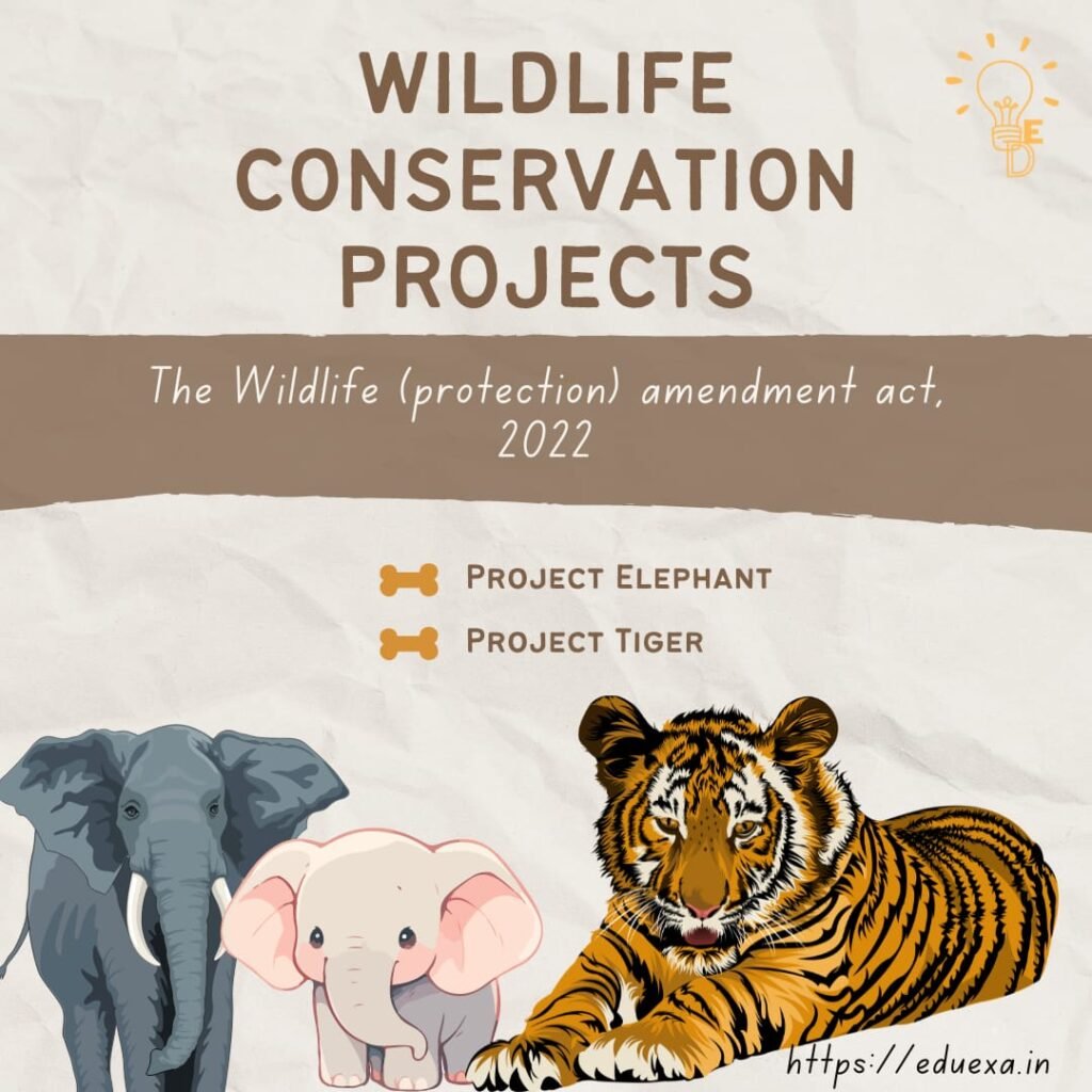 wildlife conservation project